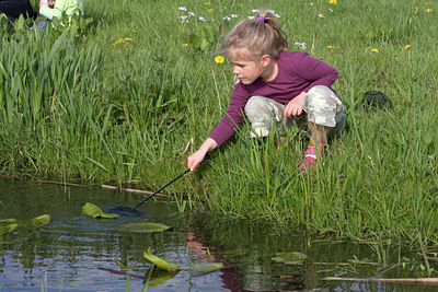 BUITEN BEELD Foto: 29910