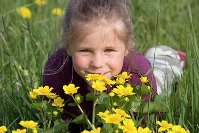 BUITEN BEELD Foto: 29913