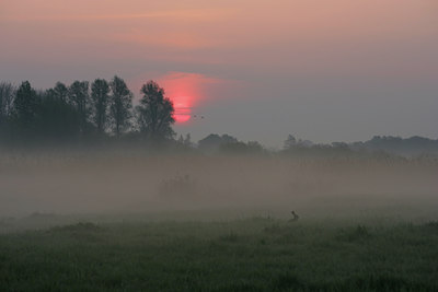 BUITEN BEELD Foto: 29938