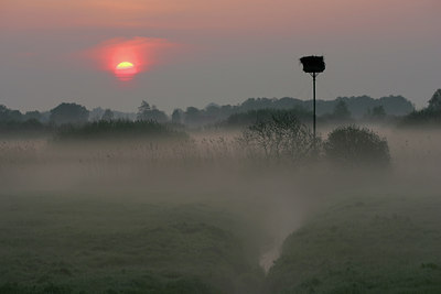 BUITEN BEELD Foto: 29939