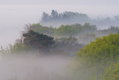 BUITEN BEELD Foto: 29992