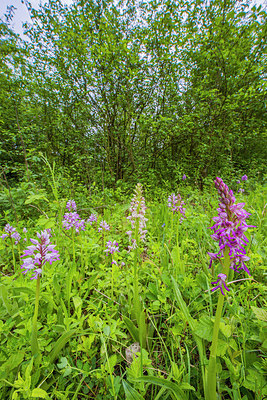 BUITEN BEELD Foto: 299082