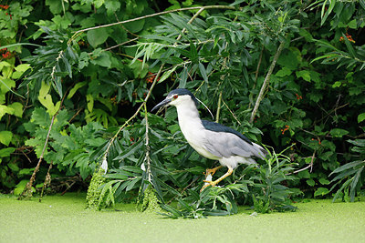 BUITEN BEELD Foto: 299245