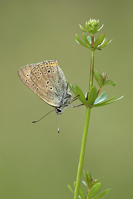 BUITEN BEELD Foto: 299314