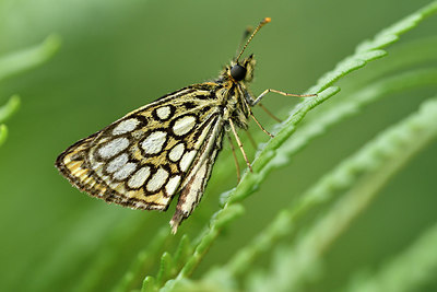 BUITEN BEELD Foto: 299335
