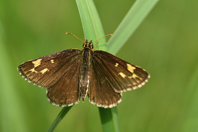 BUITEN BEELD Foto: 299341
