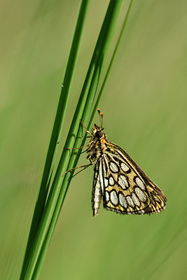 BUITEN BEELD Foto: 299345