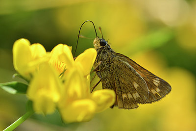 BUITEN BEELD Foto: 299346