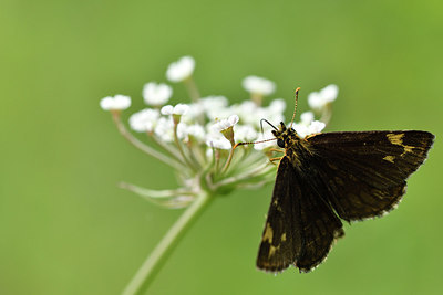 BUITEN BEELD Foto: 299357