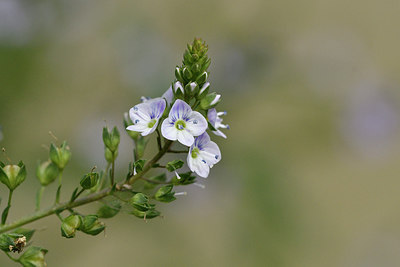 BUITEN BEELD Foto: 299428