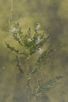 BUITEN BEELD Foto: 299434