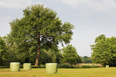 BUITEN BEELD Foto: 299500