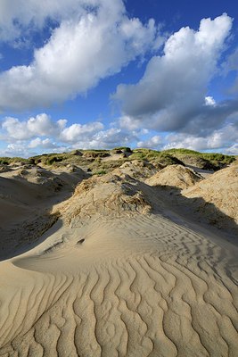 BUITEN BEELD Foto: 299504