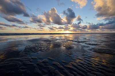 BUITEN BEELD Foto: 299510