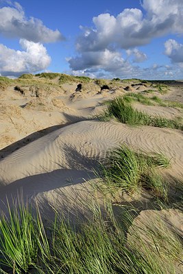BUITEN BEELD Foto: 299518