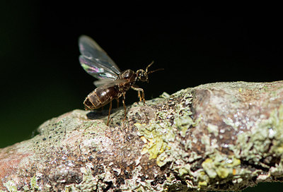 BUITEN BEELD Foto: 299547