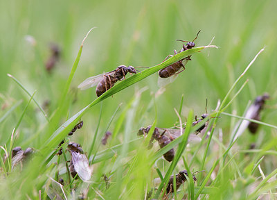 BUITEN BEELD Foto: 299555