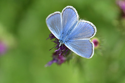 BUITEN BEELD Foto: 299568