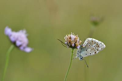 BUITEN BEELD Foto: 299611