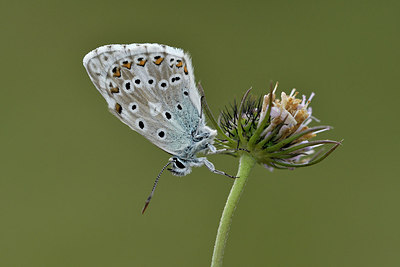 BUITEN BEELD Foto: 299612