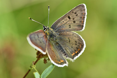 BUITEN BEELD Foto: 299630