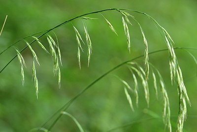 BUITEN BEELD Foto: 299663