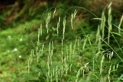 BUITEN BEELD Foto: 299667