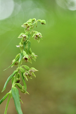 BUITEN BEELD Foto: 299705