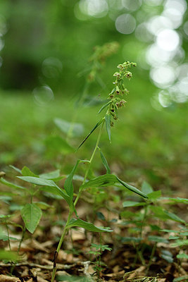BUITEN BEELD Foto: 299706