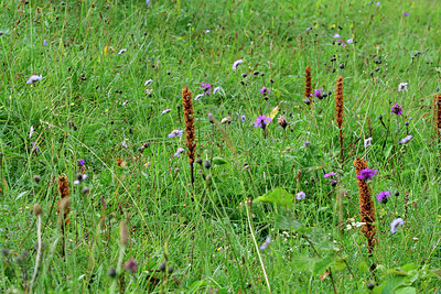 BUITEN BEELD Foto: 299712