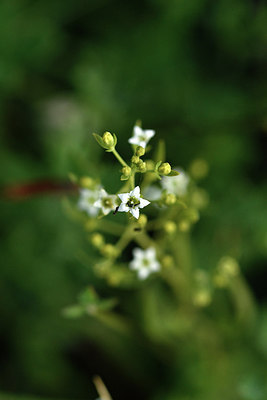 BUITEN BEELD Foto: 299713