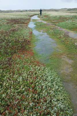 BUITEN BEELD Foto: 299742