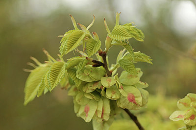 BUITEN BEELD Foto: 299745