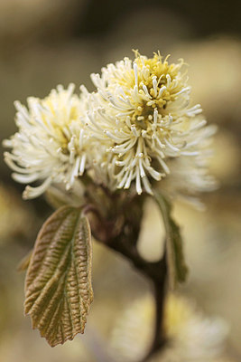 BUITEN BEELD Foto: 299748