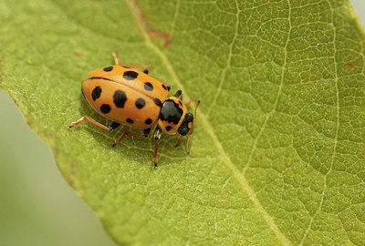 BUITEN BEELD Foto: 299752