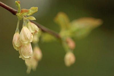 BUITEN BEELD Foto: 299759