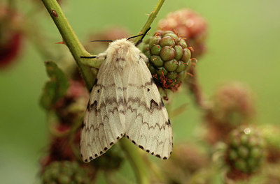 BUITEN BEELD Foto: 299777