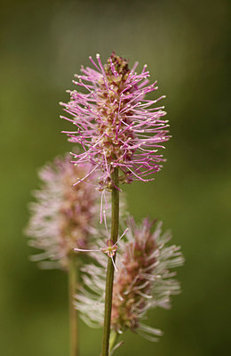 BUITEN BEELD Foto: 299779