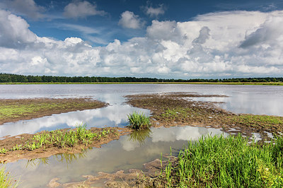 BUITEN BEELD Foto: 299811