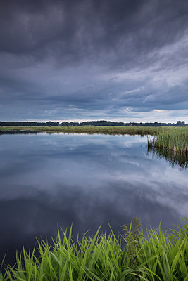 BUITEN BEELD Foto: 299827