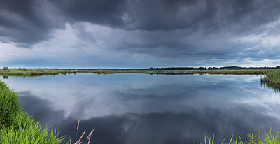 BUITEN BEELD Foto: 299828