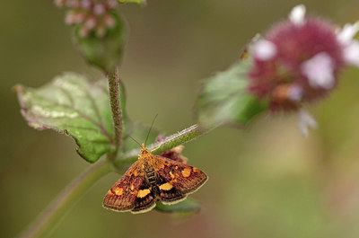 BUITEN BEELD Foto: 299846