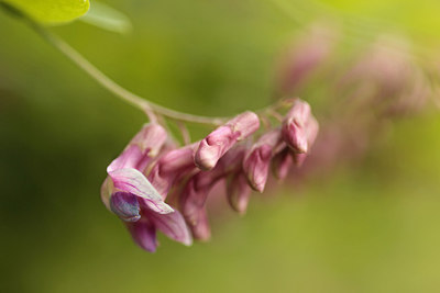 BUITEN BEELD Foto: 299897