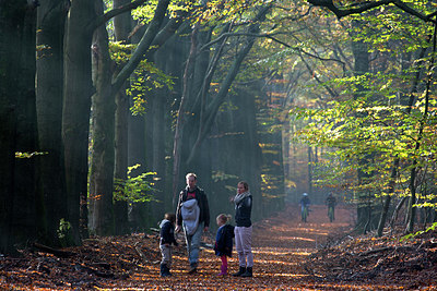 BUITEN BEELD Foto: 300110