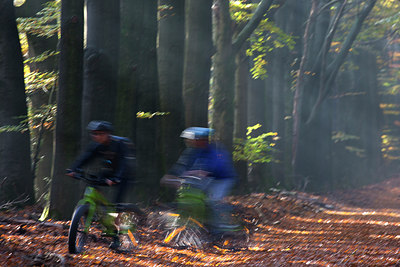 BUITEN BEELD Foto: 300112