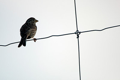 BUITEN BEELD Foto: 300201