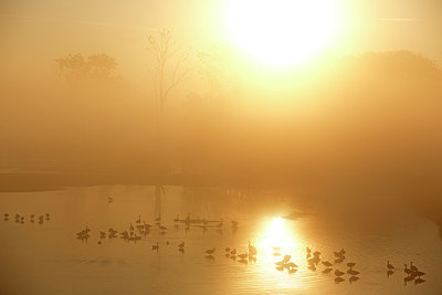 BUITEN BEELD Foto: 300296