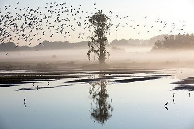 BUITEN BEELD Foto: 300314