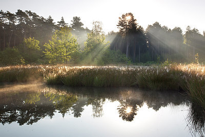 BUITEN BEELD Foto: 300456