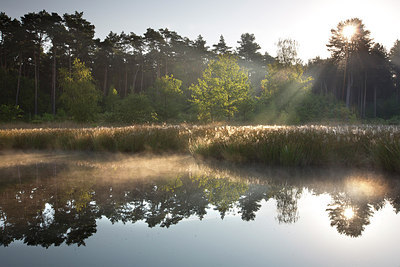 BUITEN BEELD Foto: 300457
